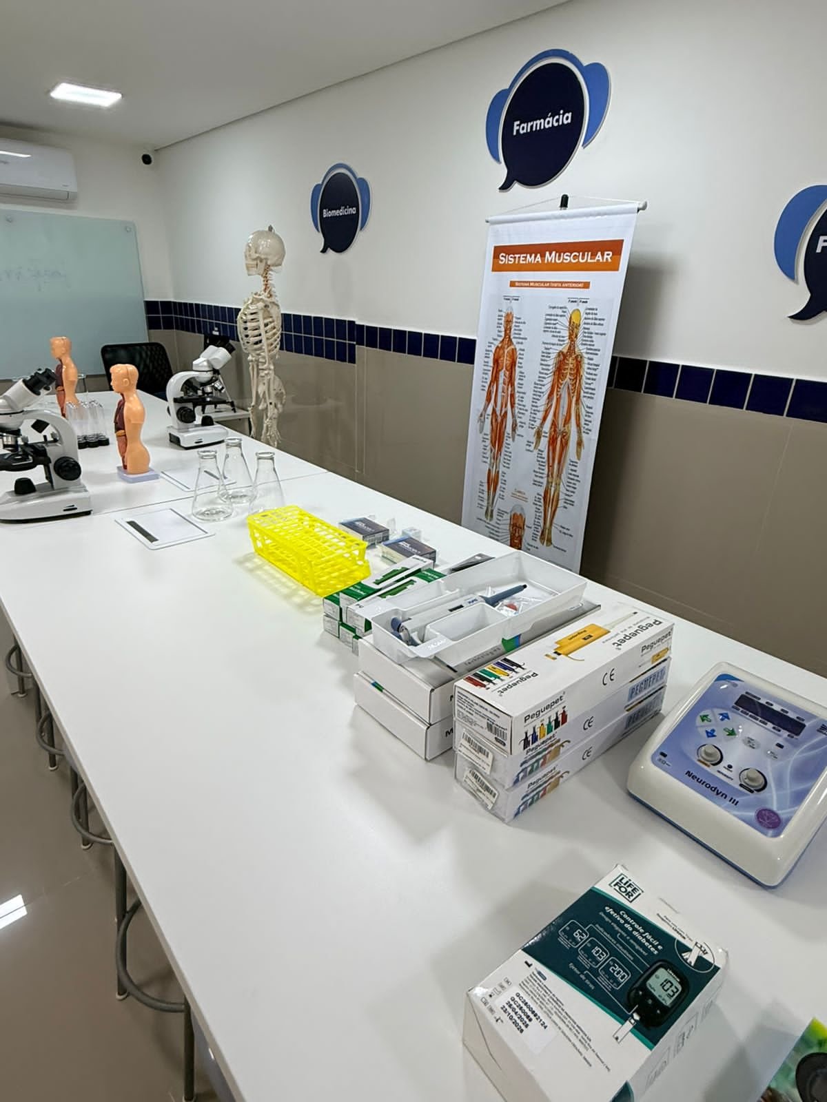 Estrutura UniFECAF 1